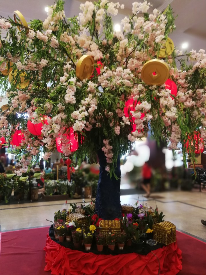 Happy Chines New Year Feel