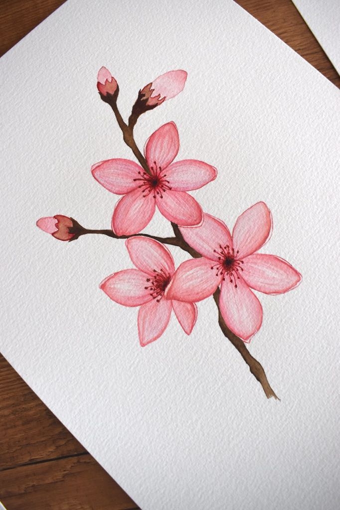 peach blossom
