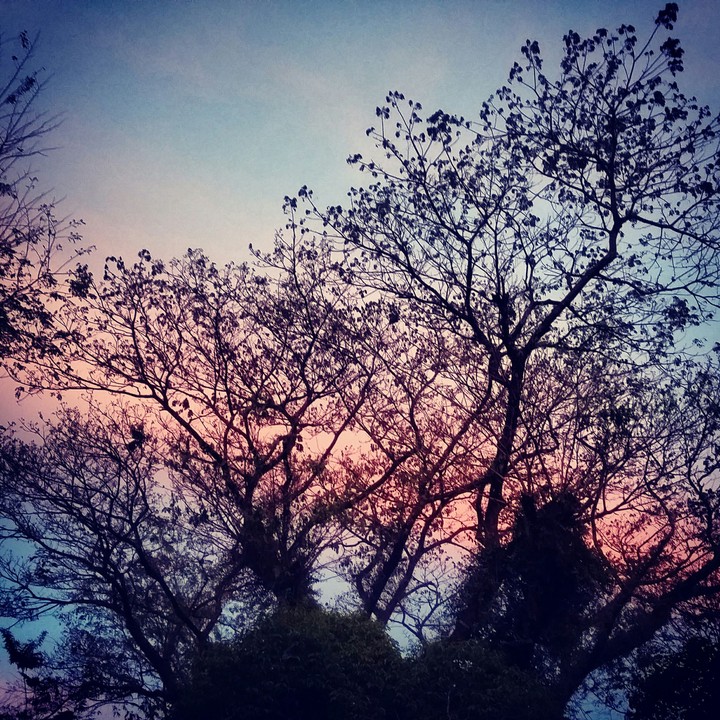 6pm