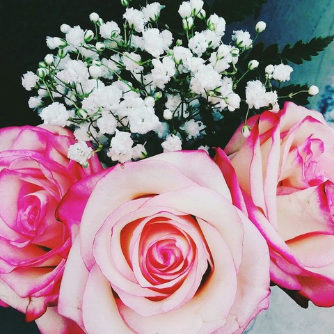 beauty of flowers