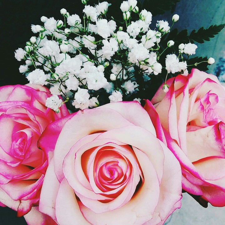 beauty of flowers