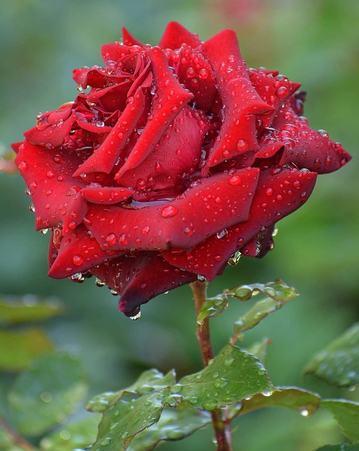 After_rain