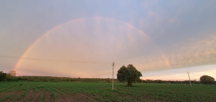 rainbow