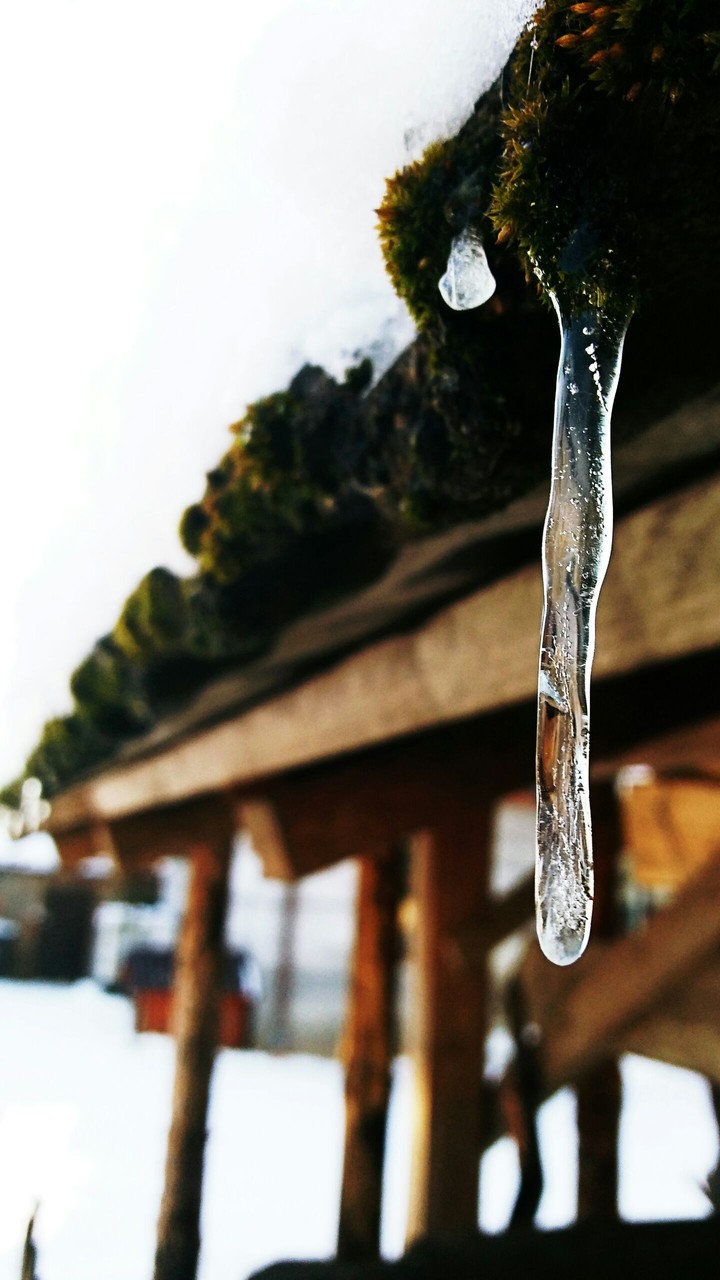 icicle