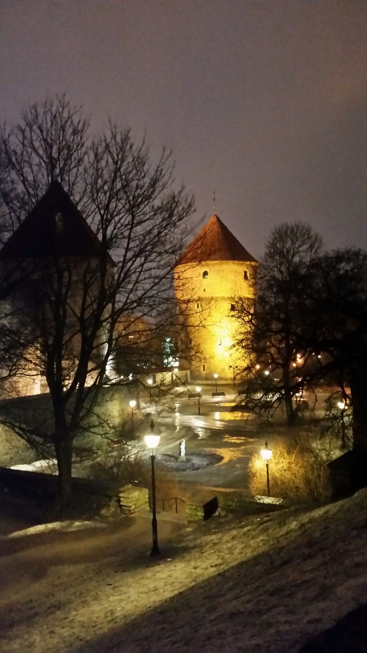 Tallin