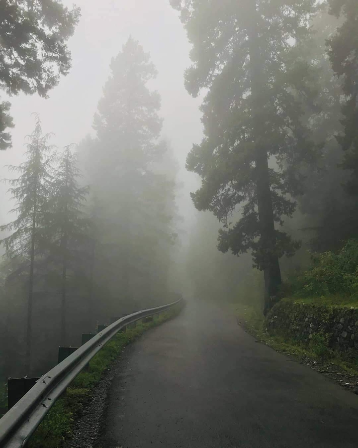 Nainital❤