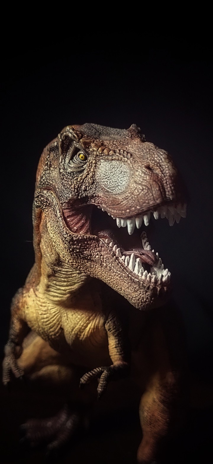 Tyrannosaurus