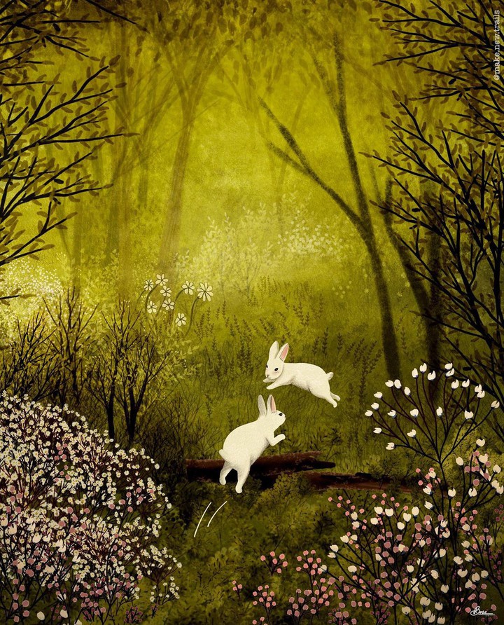 bunnies