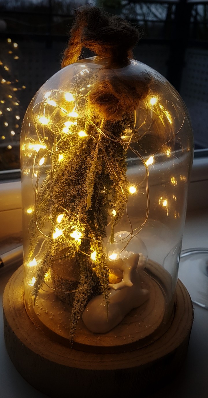 Christmas lights