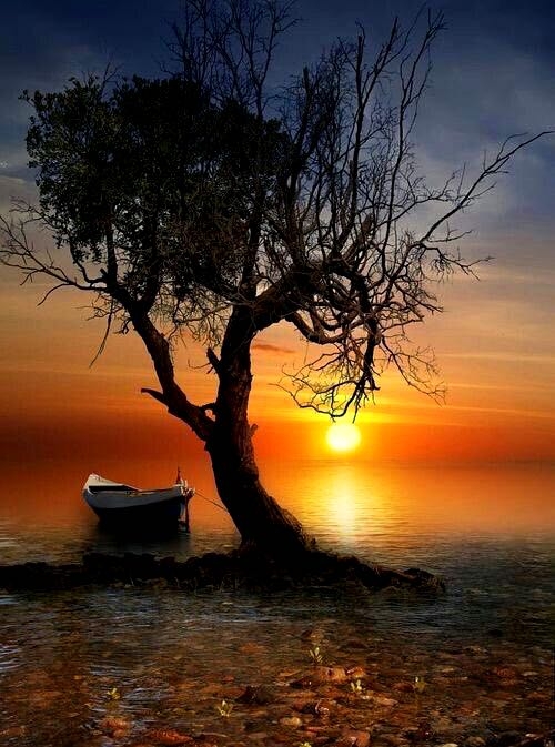 A beautiful morning