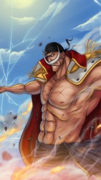 one piece #6