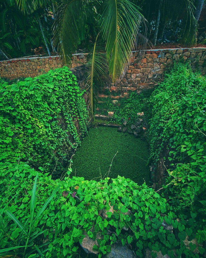 kerala