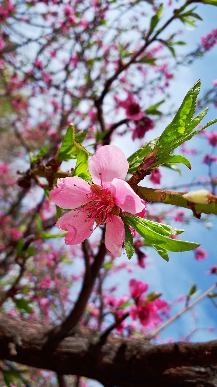 photo by me