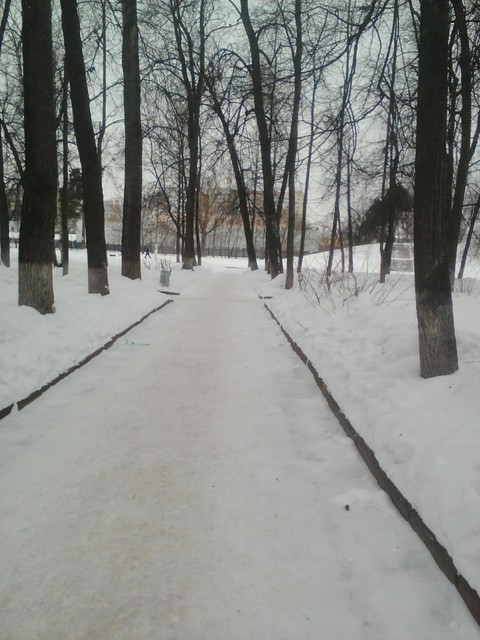 Дорога