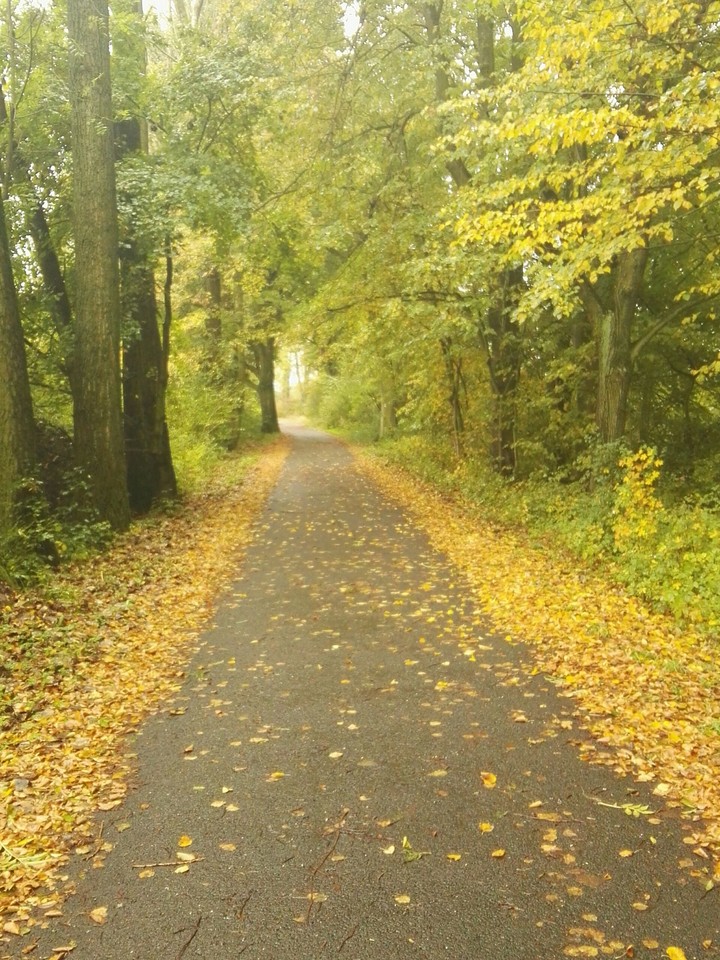 Autumn