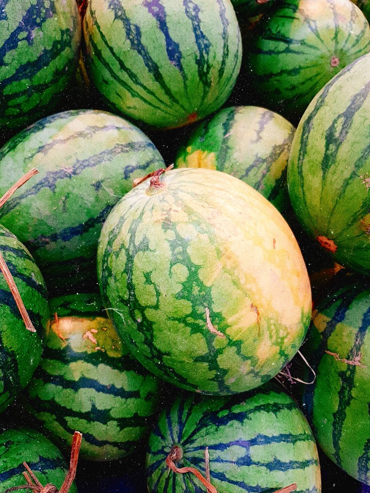 dưa hấu