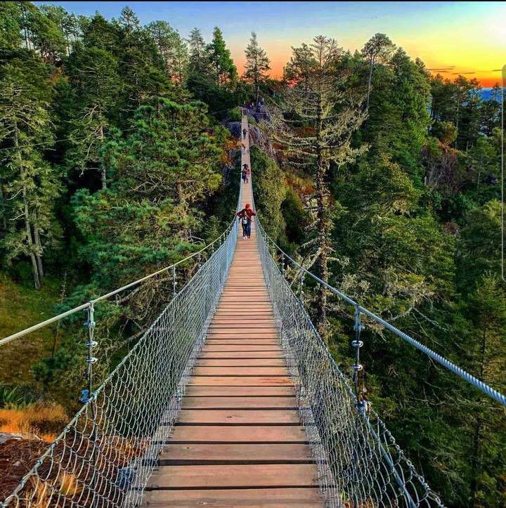puente colgante