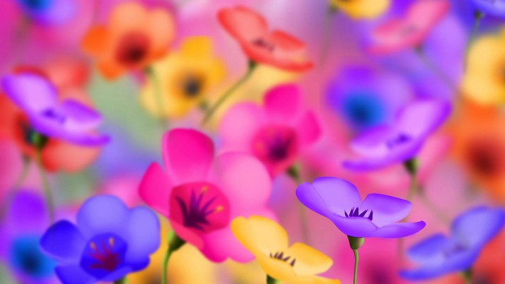 Color