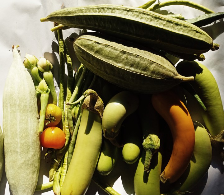 Harvest