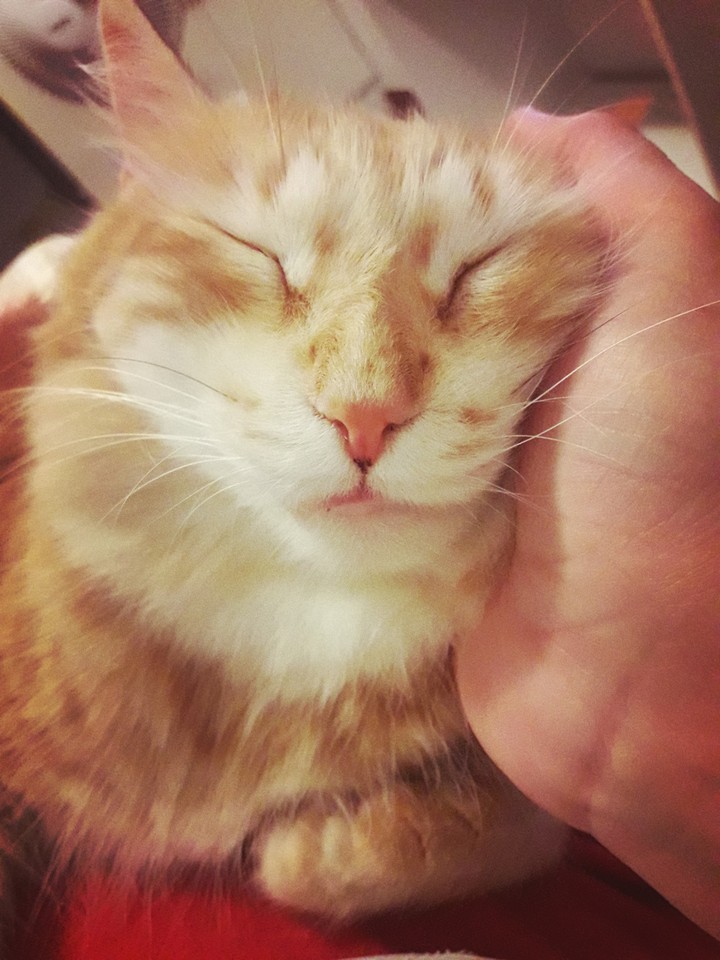 Boris