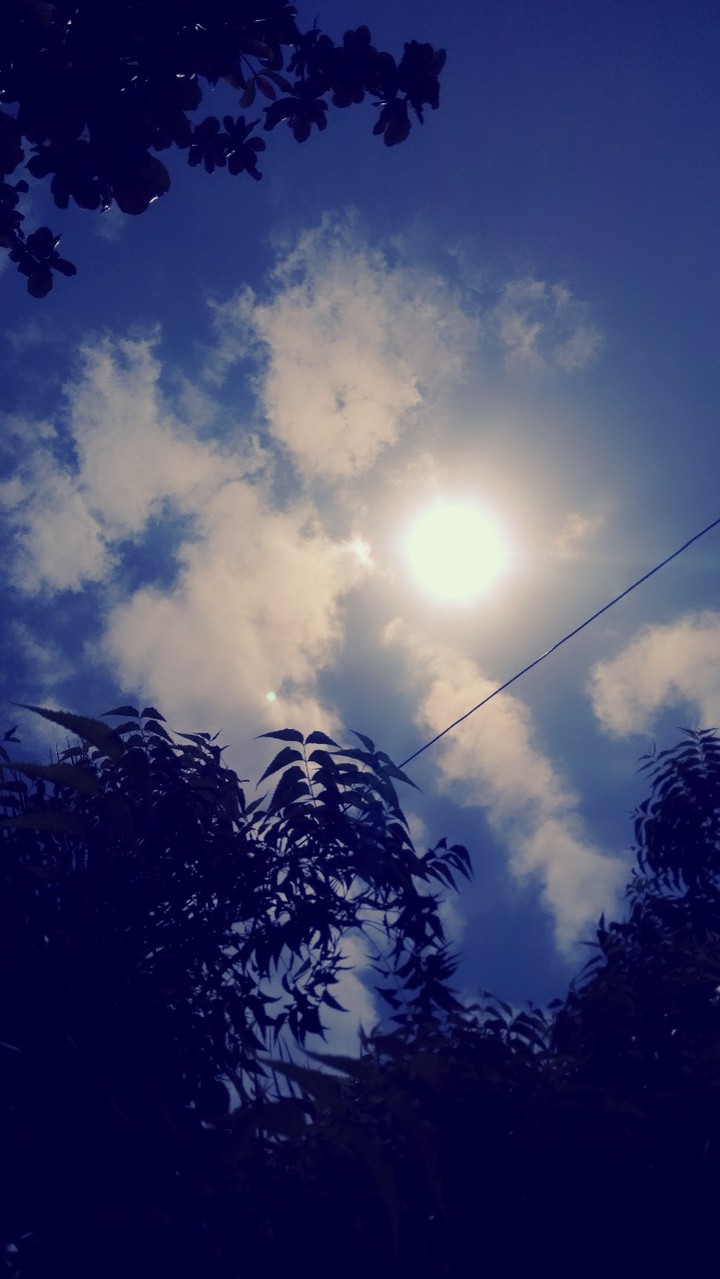 The Blue Sky