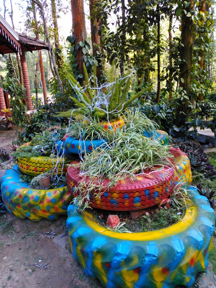 Aloe Vera in tires