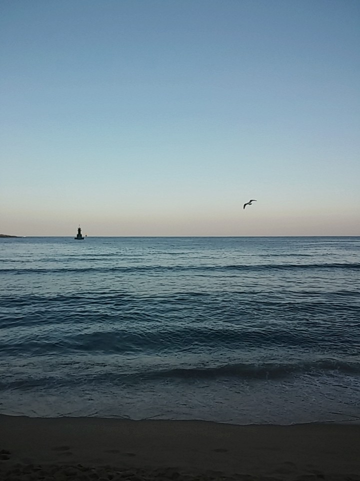 sea