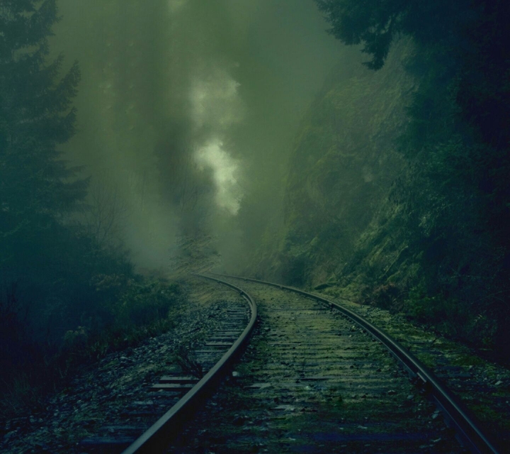 Rails in deep forest