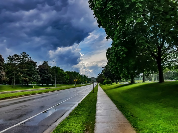Waterloo Summer