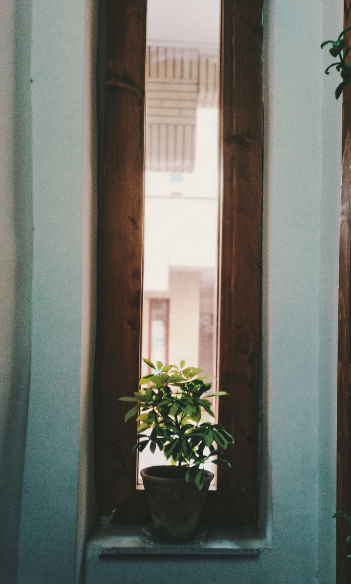 Corner