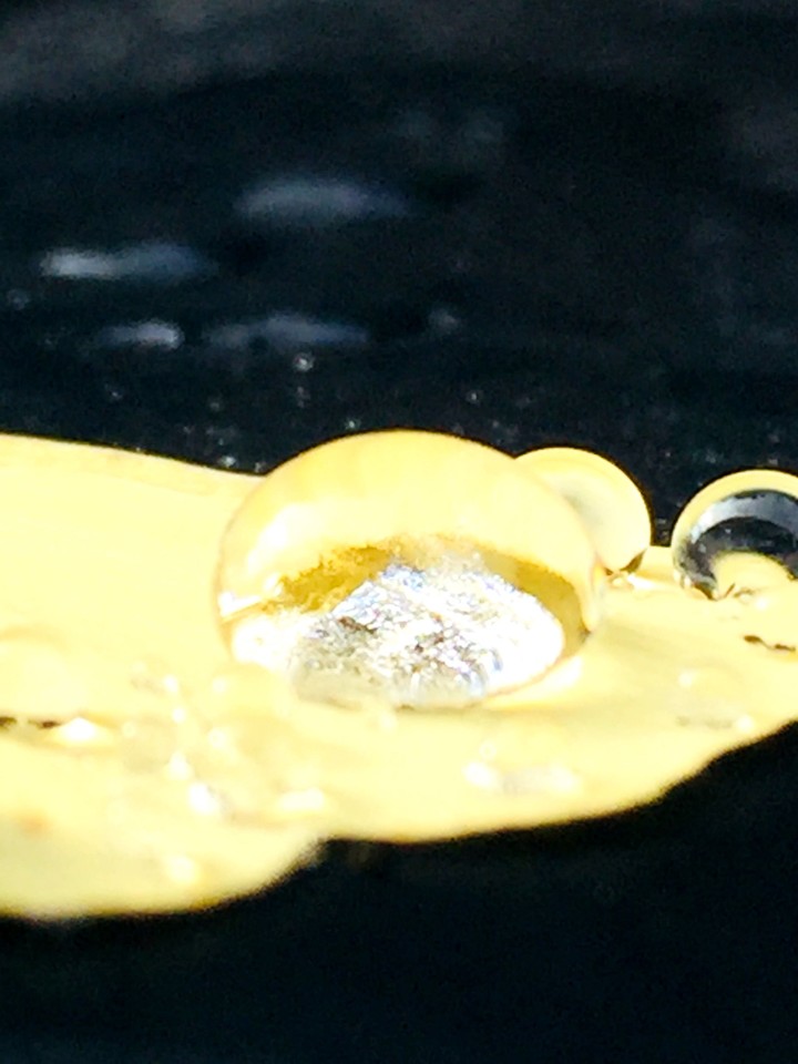 yellow leaf with dew