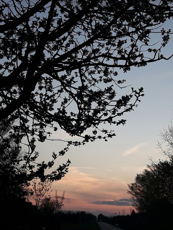 Summer evening 2