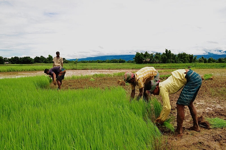 Bangladesh