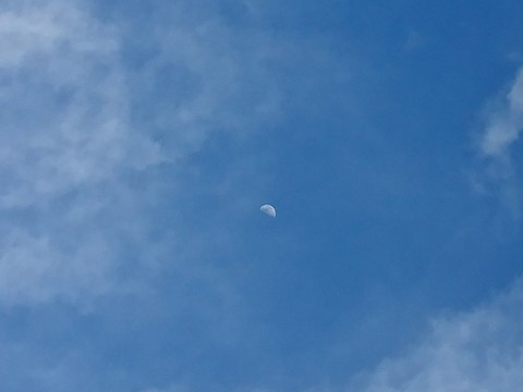 Moon's Day