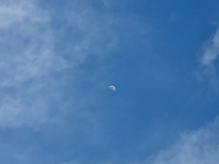 Moon's Day