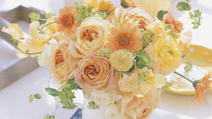 blossoms of soft peach colored flowers