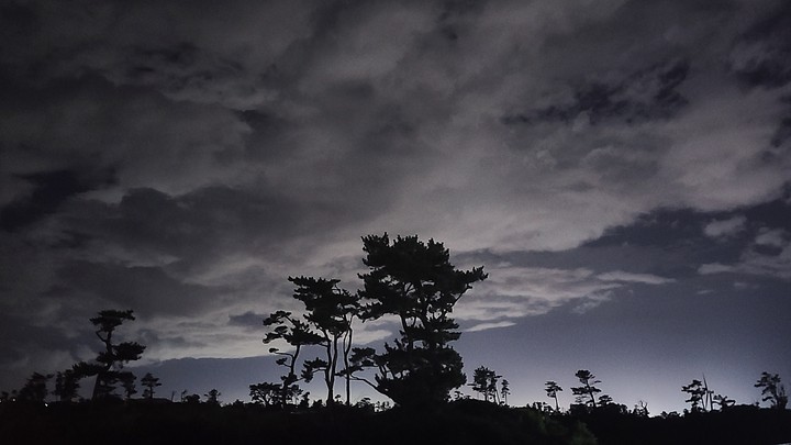 jeju night