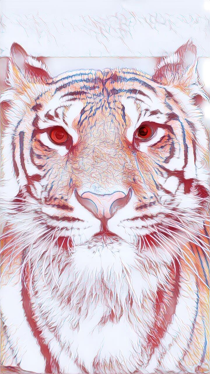 The TIGER