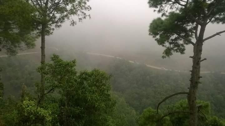 mountain Nature