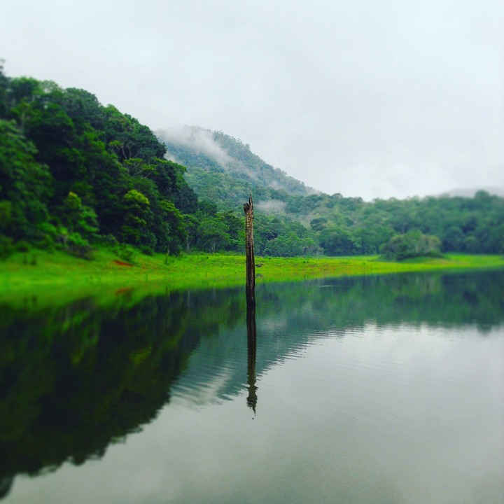 from kerala