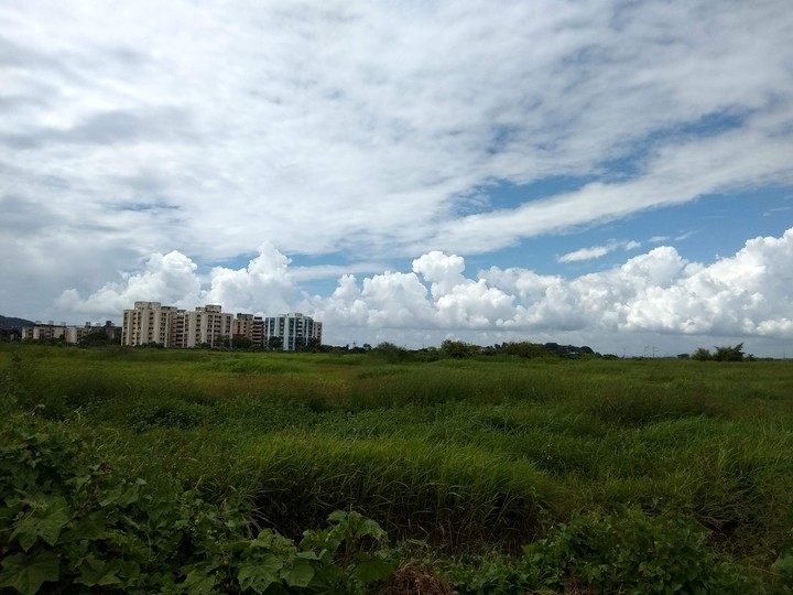 fresh and peaceful