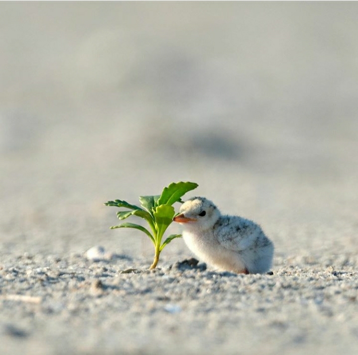 Taking shelter on the beach...