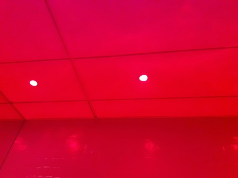 lights
