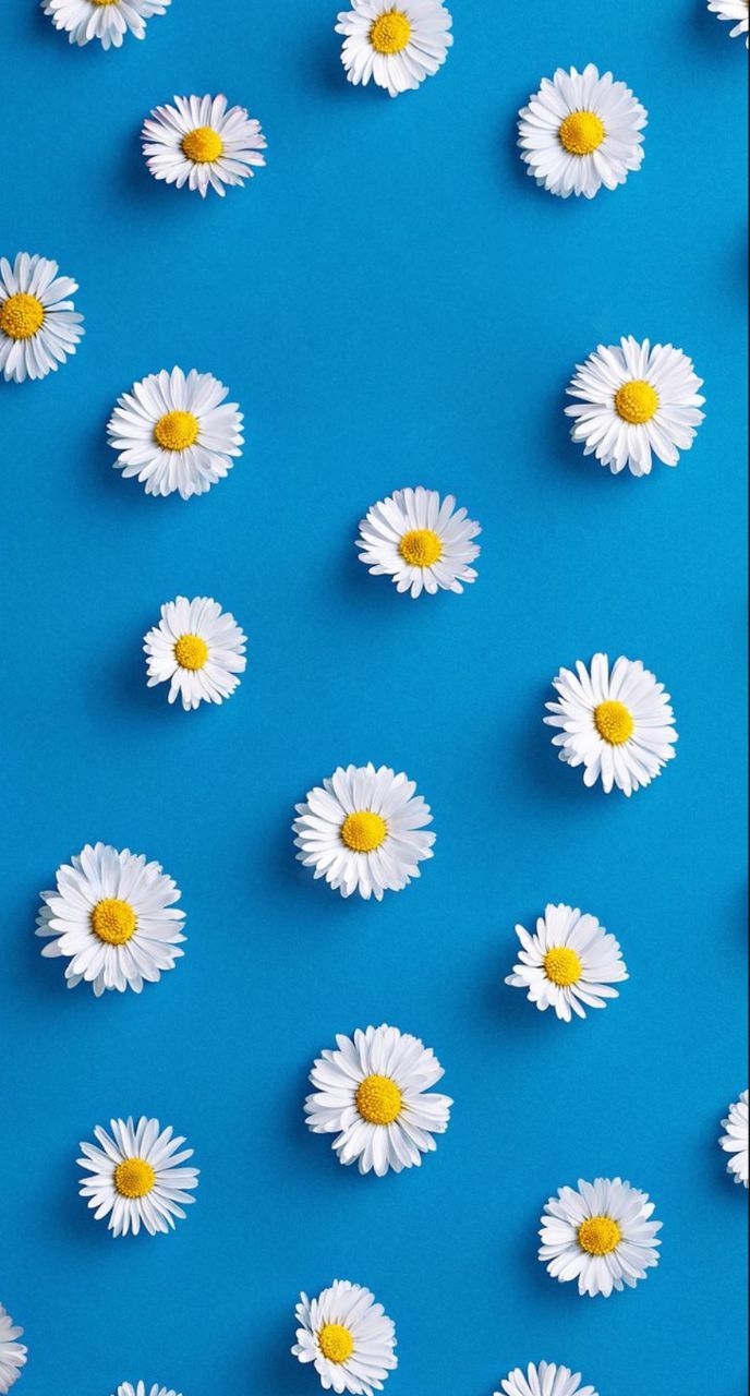 wallpaper