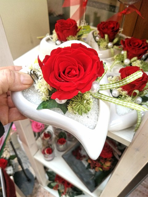 Wunderschöne Rose