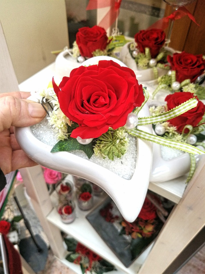 Wunderschöne Rose