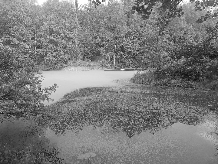 Lake