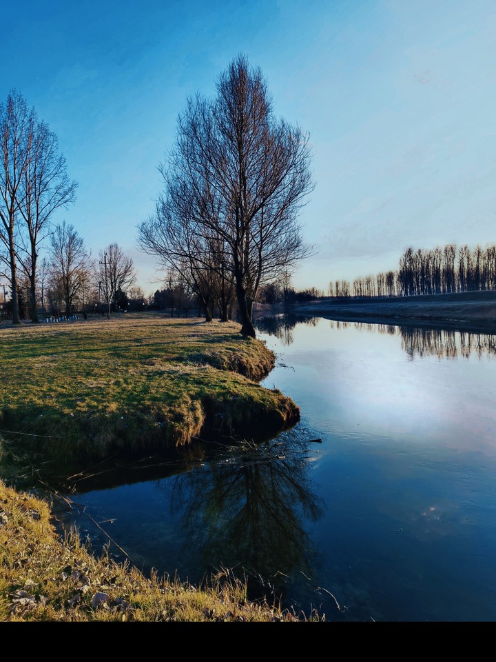 Landscape