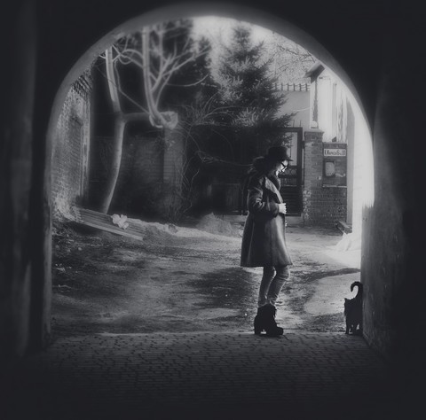 tapety Midnight, black-and-white