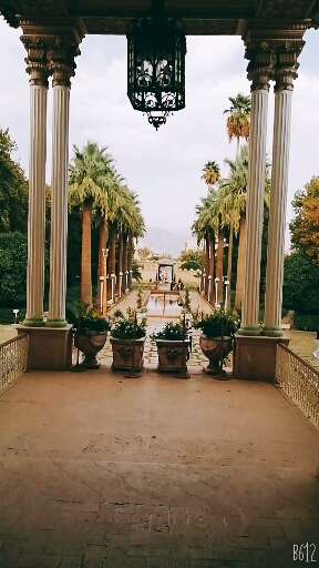 ش